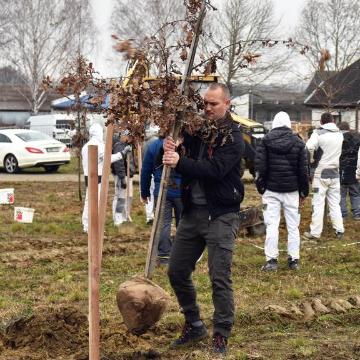 Faltets a Windoor Raktrruhznl